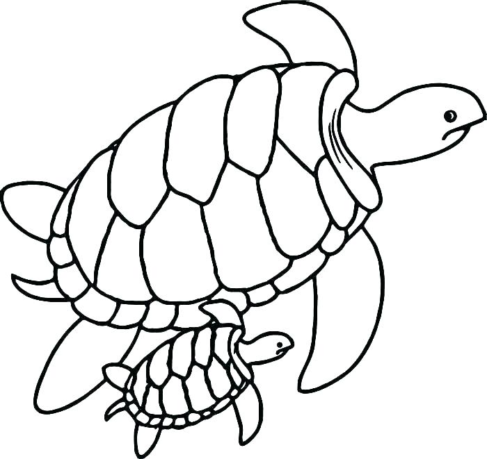 700x661 Coloring Pictures Of Turtles Turtles Coloring