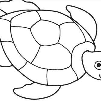 336x336 Easy Turtle Drawing Step