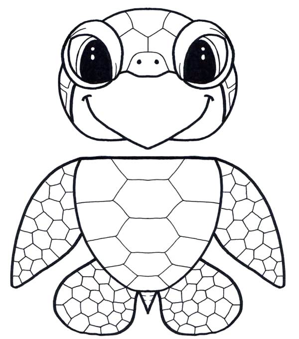 600x680 Turtle Coloring Sheet Turtle Color