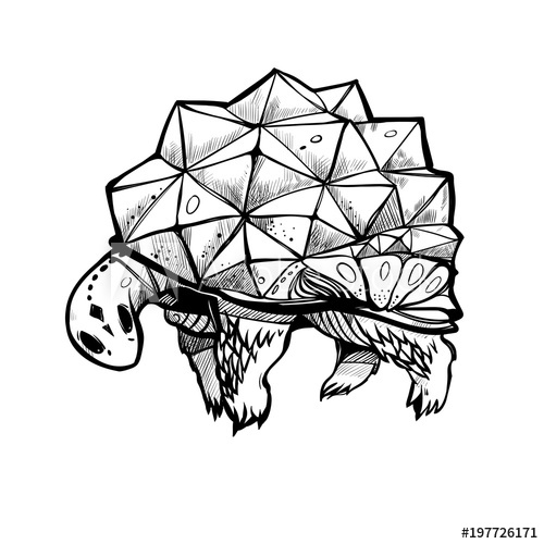 500x500 Turtle With A Crystal Shell Stylized Tortoise, Graphic