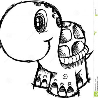 336x336 Easy Turtle Drawing Step