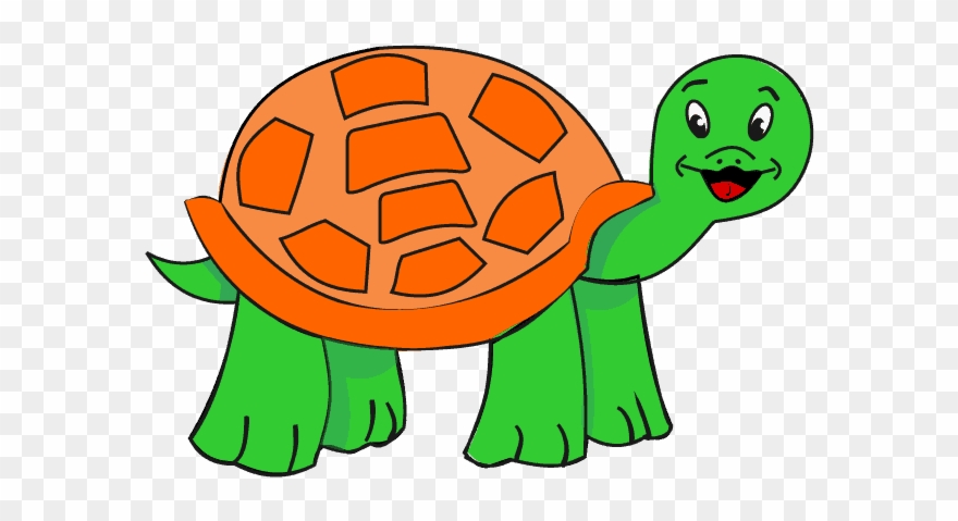 880x479 How To Draw A Turtle Easy Step