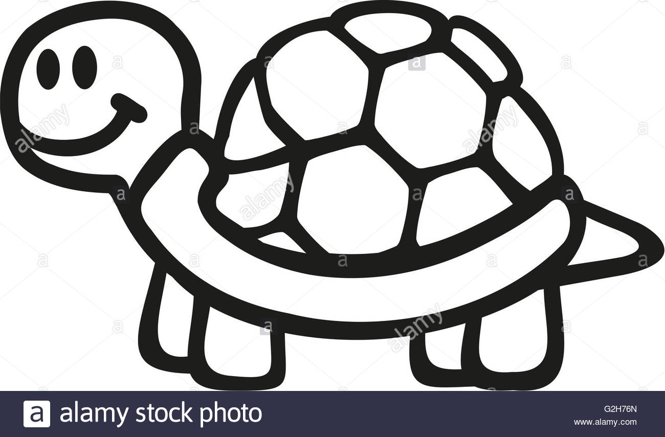 1300x854 Awesome Outline Picture Of Tortoise Icon Illustration Stock Photos