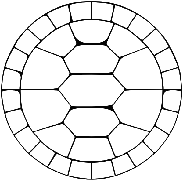 600x596 Turtle Shell Pattern Drawing
