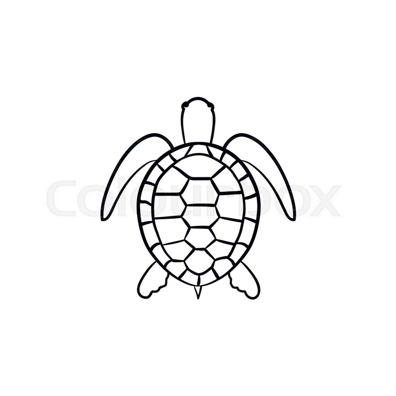 800x800 Turtle Hand Drawn Outline Doodle Icon Stock Vector Colourbox