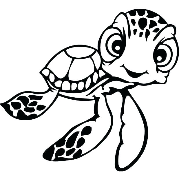 618x618 Baby Turtle Drawing Full Size Of To Draw A Cartoon Turtle Step