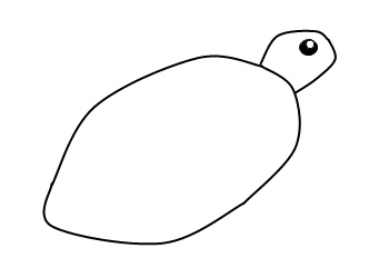 350x250 How To Draw A Turtle