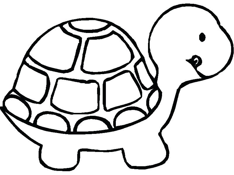 800x600 How To Draw Cartoon Turtles How To Draw Cartoon Turtle Regarding