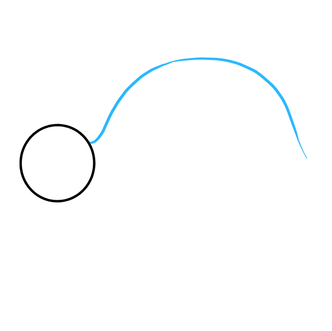 680x678 How To Draw A Sea Turtle