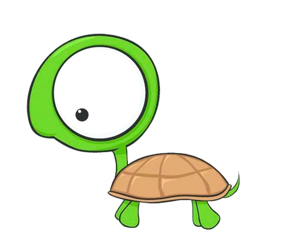 900x800 Turtle Cartoon Drawing Medium Size Of Easy Ninja Turtle Drawing