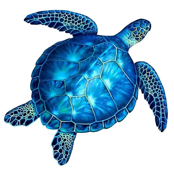 Turtle Swimming Drawing | Free download on ClipArtMag