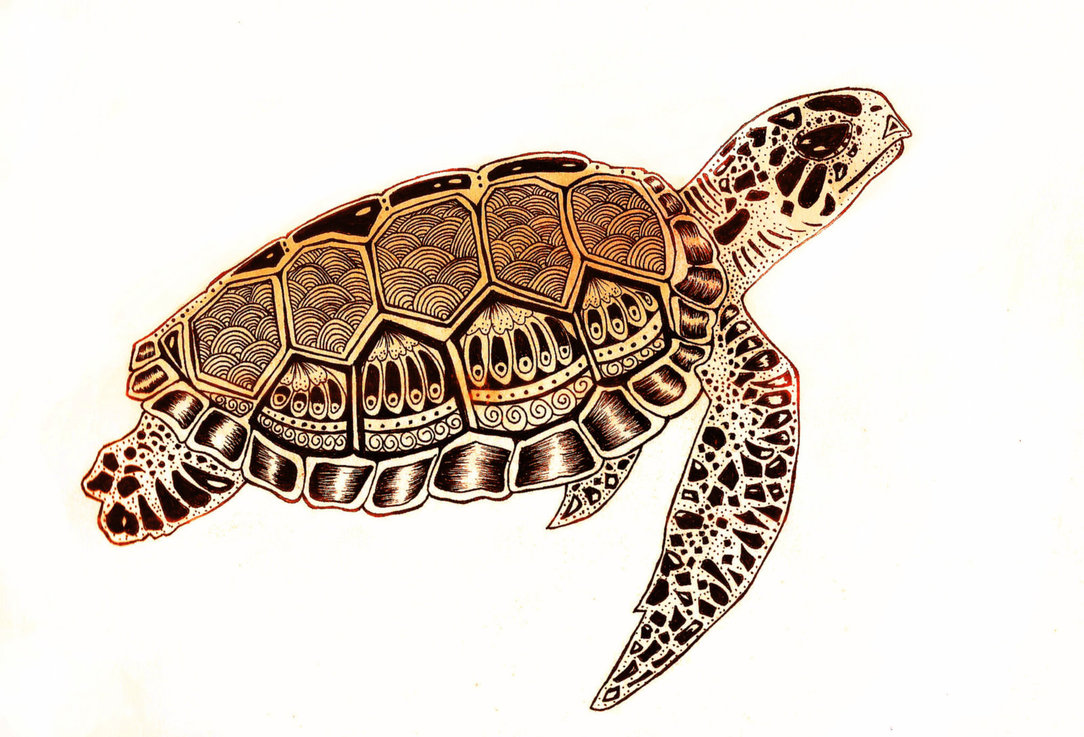 1084x737 Sea Turtles Swimming Drawing