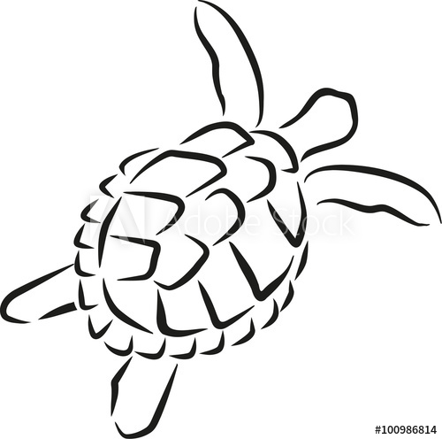 500x496 Swimming Turtle Caligraphy Style