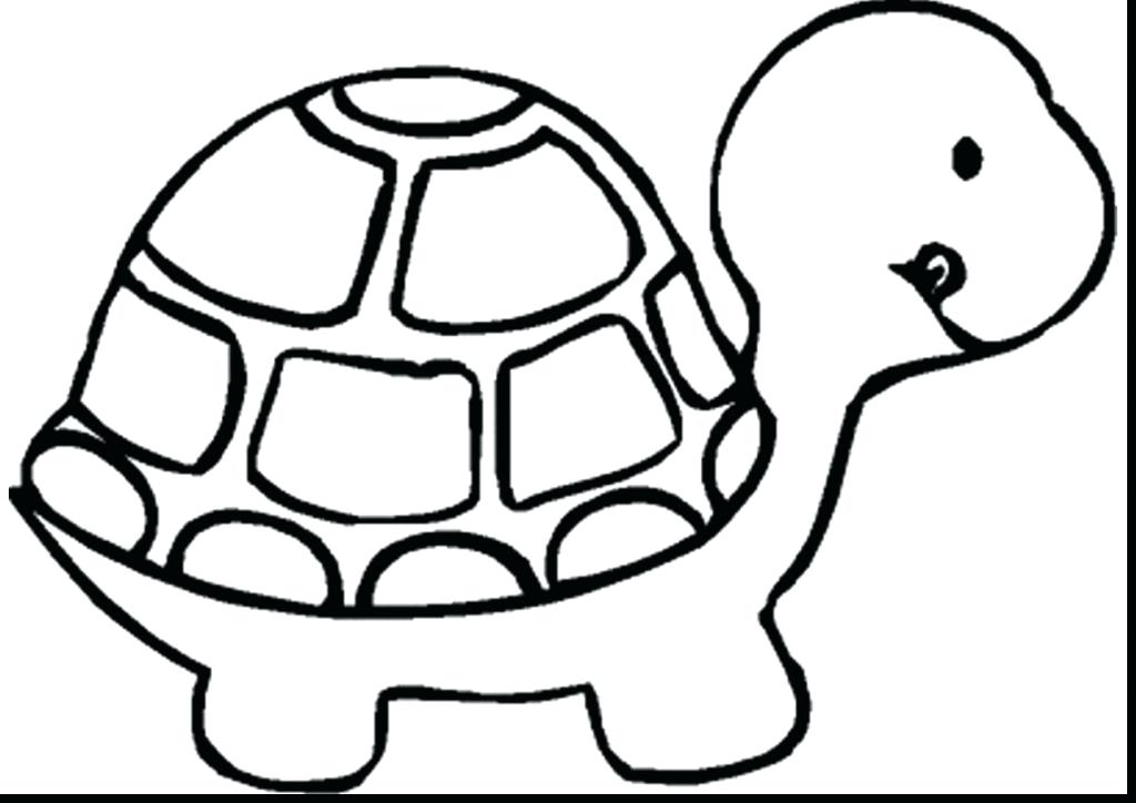 1024x724 Baby Turtle Drawing Cartoon Baby Turtle Swimming Baby Turtle Egg