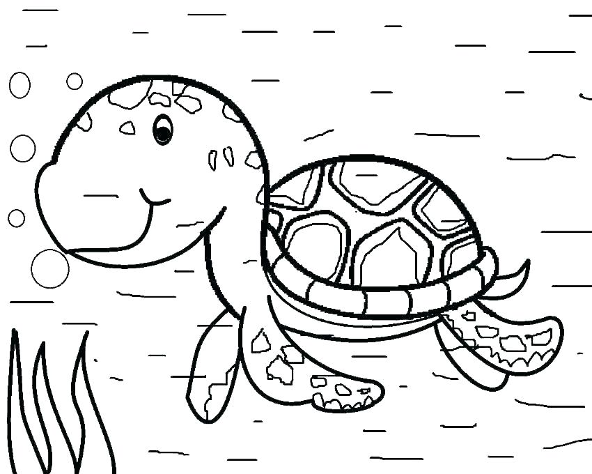 Turtle Swimming Drawing | Free download on ClipArtMag