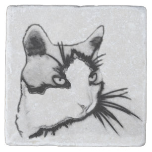 307x307 Tuxedo Cat Drink Beverage Coasters Zazzle