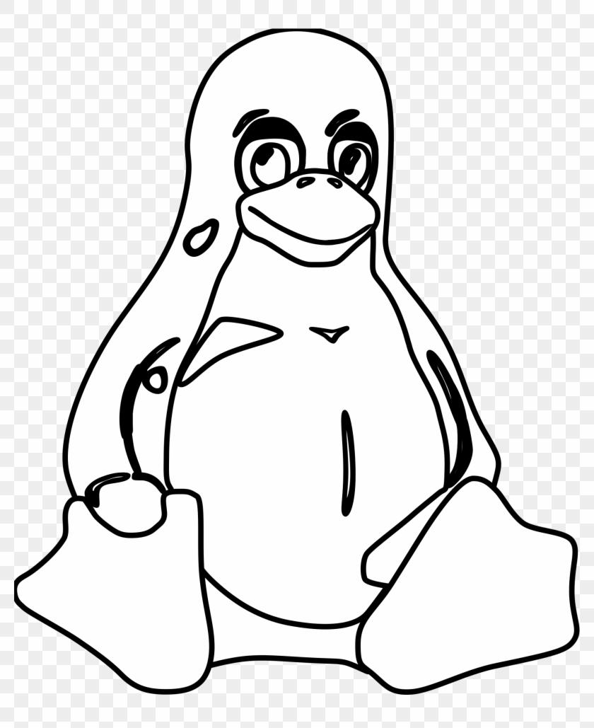 840x1029 Top Outline Drawing At Getdrawings Tux