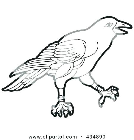 450x470 Tweety Bird Outline Coloring Astounding Outline Of Bird Outline