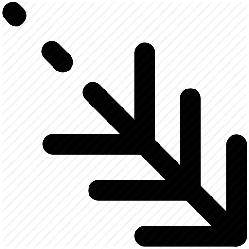 512x512 Cypress Leaf, Design, Drawing, Evergreen Tree, Fir, Thuja Twig