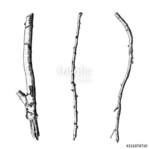 500x500 hand drawn twig branches set ink illustration wood twig