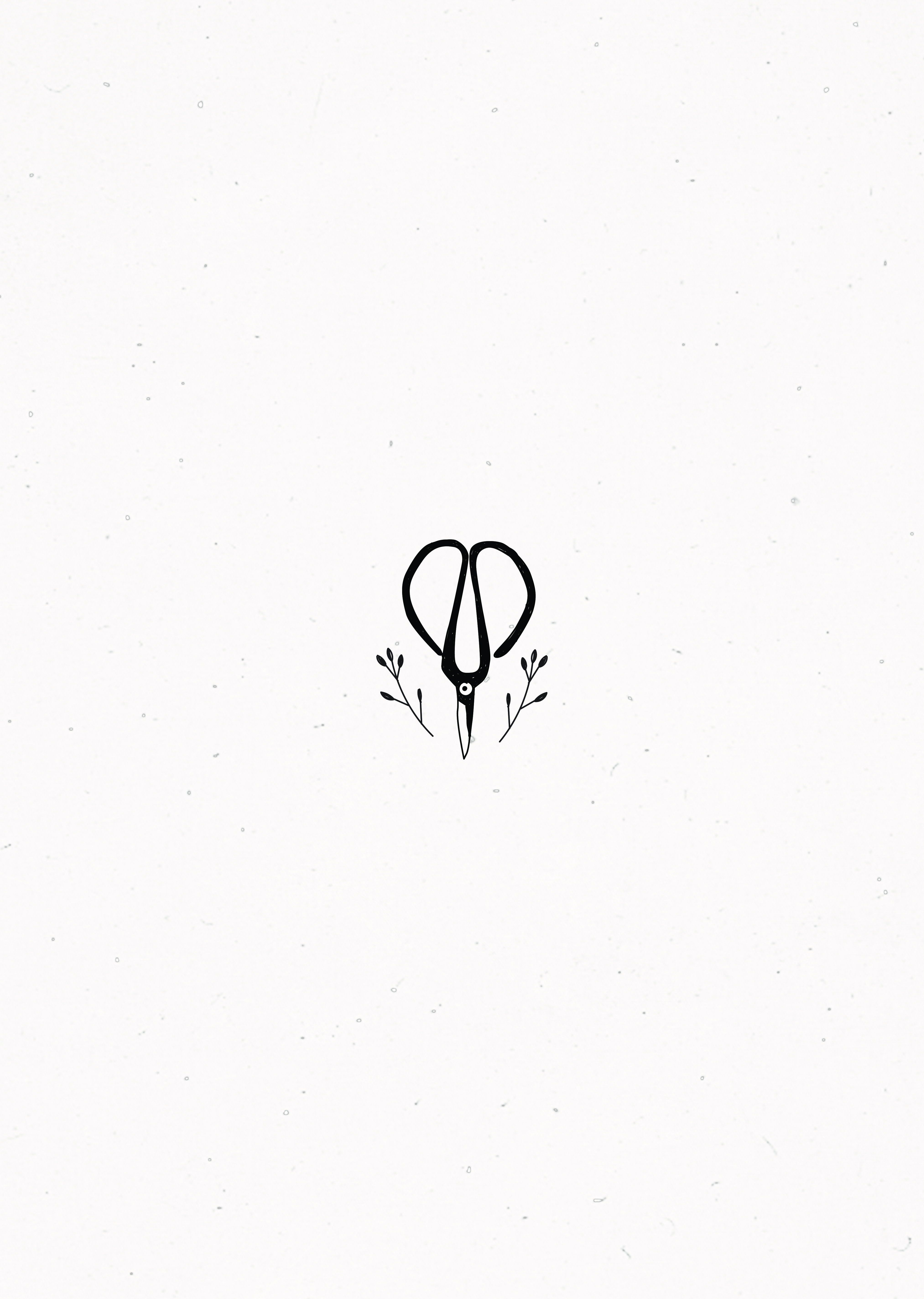 4051x5692 Outside Garden Spiritual Drawing Sketch And Siccor Twigs Outdoor