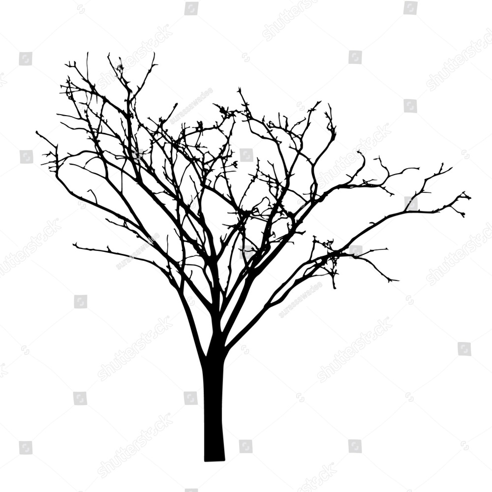 1000x1000 Tree Twig Silhouette Vector Ez Canvas