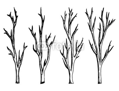 400x308 Twigs Drawing Of A Handmade Monochrome Vector Isolated On White