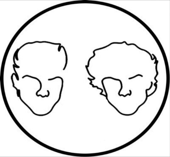 540x500 Dolantwins The Dolan