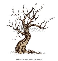 236x246 Best Trees Images Twisted Tree, Drawing Trees, Drawings