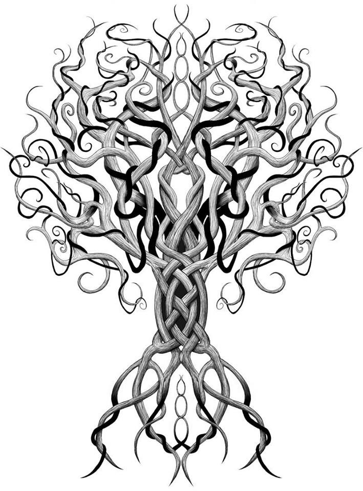 709x960 My Family's Twisted Tree Genealogy And Family History