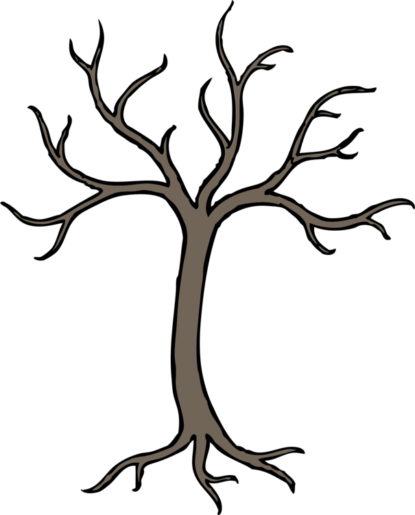 605x750 Tree Cartoon Drawing Oak Branch Cc0
