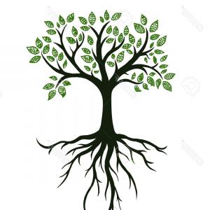 300x300 Abstract Vector Tree Roots Twisted Branches Shopatcloth