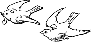 320x149 Two Birds Stuff To Buy Bird Clipart, Sparrow Drawing, Birds
