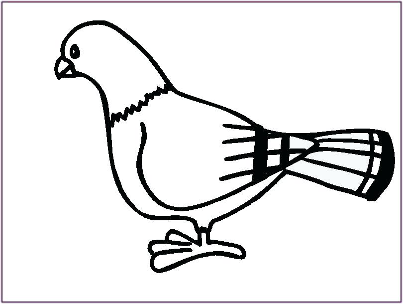 810x610 Bird Outlines Download Free Vector Art Stock Graphics Images