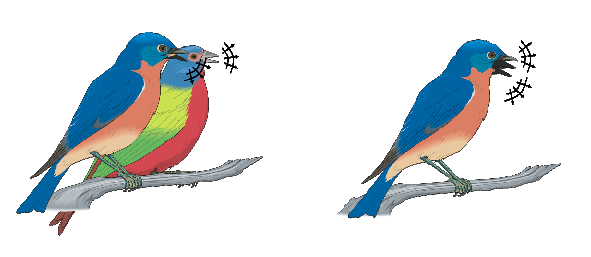591x257 Example Of The Analysis Problem Can We See Two Birds Singing
