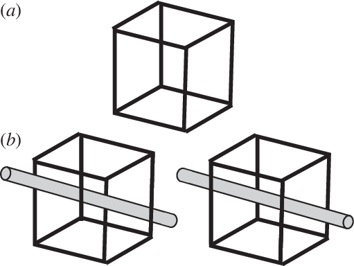 511x384 a a necker cube a two dimensional line drawing of a cube lacks