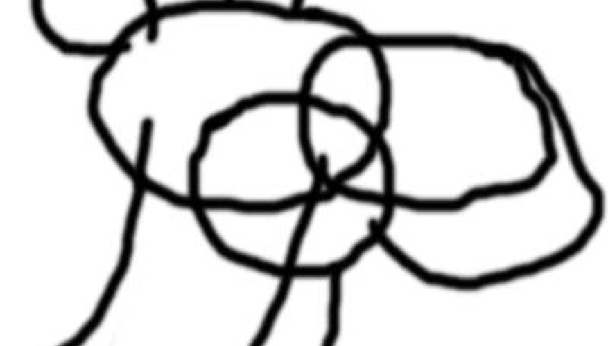 877x500 How To Draw A Camel Face Our Pastimes