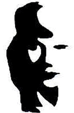 237x362 Two Faces Or A Vase Old Or Young Lady Simple But Wonderful