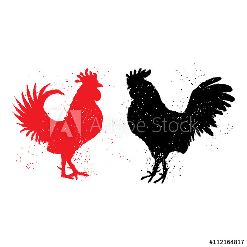 500x500 Two Red And Black Roosters Are Looking