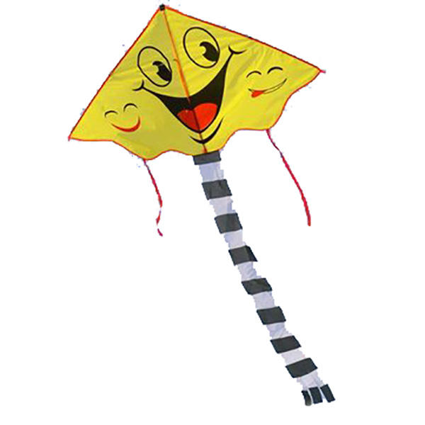 600x600 smiling face kite two patterns cartoon kite sports beach kite