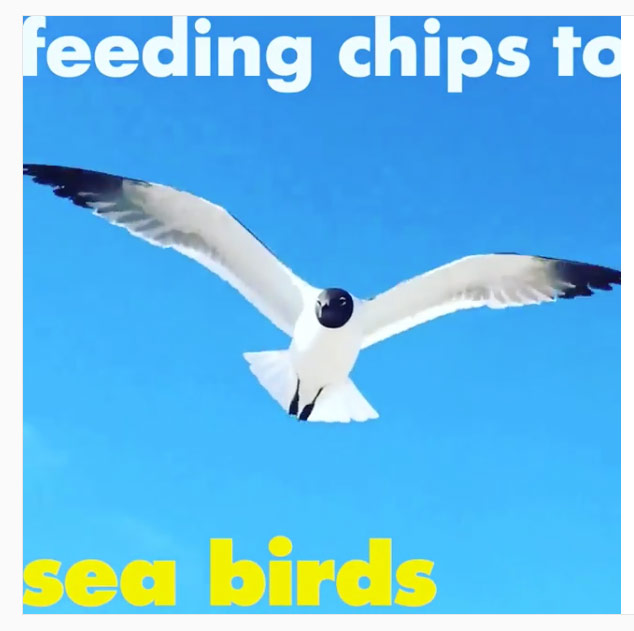 634x631 Drawing People And Feeding Sea Birds The Museum