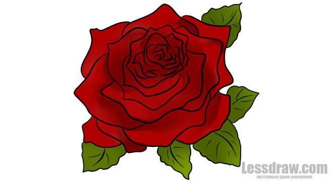 660x360 How To Draw A Rose Two Ways Of Drawing