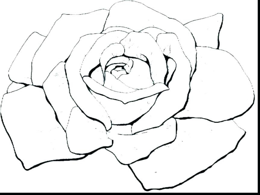 863x647 Pretty Rose Coloring Pages Cute Beautiful Feed Pictures Roses