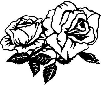 350x294 Rose, Two Roses, Vinyl Cut Decal