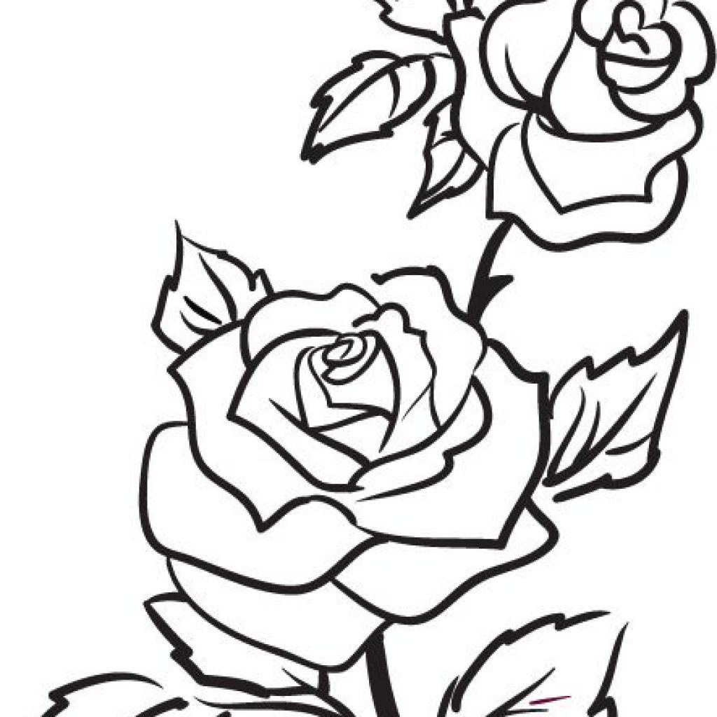 1024x1024 Rose Outline Drawing Animal Clipart House Clipart Online Download