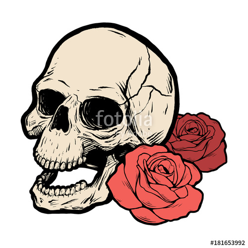 500x500 Skull With Two Roses Vector Illustration Stock Image And Royalty
