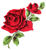 190x208 Two Red Roses Drawing Mouse Pad Spreadshirt