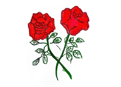 470x338 Two Roses For You