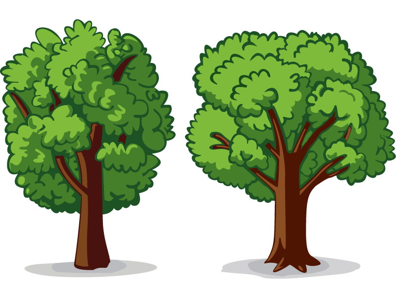 Two Trees Drawing