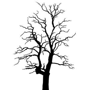 300x300 Home Tree Silhouette, Black, White Tree